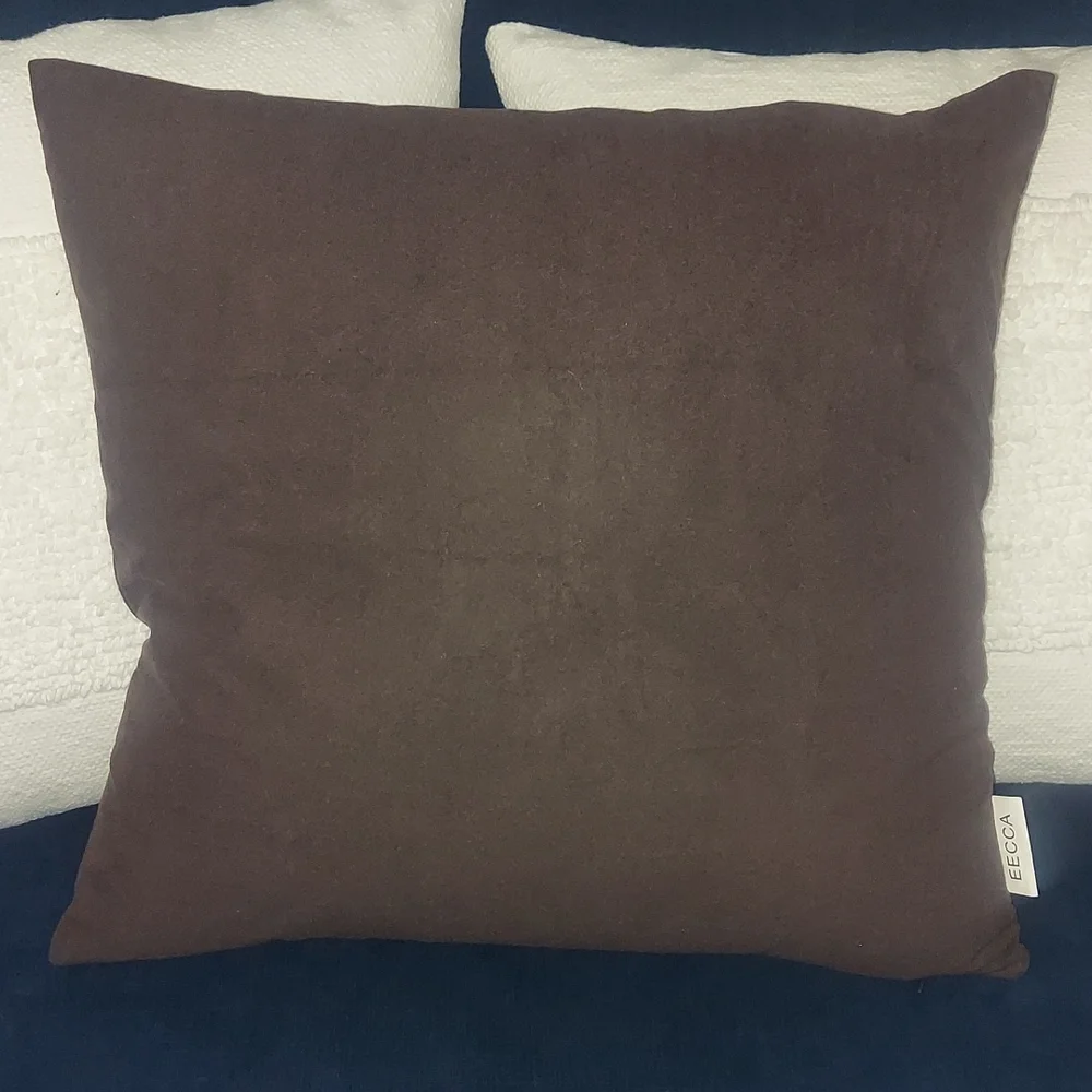 (3) EECCA Pillow Covers